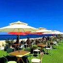 바다정원 이미지