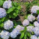 수산리농장 이미지