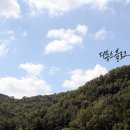 만나공원 이미지