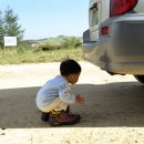 똘똘이 목장 이미지