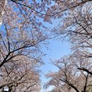 송해공원 제3주차장(2) 이미지