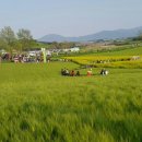 보리밭 노래비 이미지