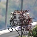 송정하우스 이미지