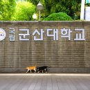 국립군산대학교 티스토리