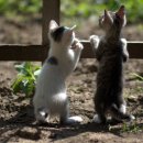 히트 메이커스 이미지