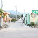 시전리 마을회관 Daum카페