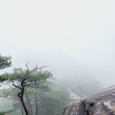 GS25 충북괴산점 | 괴산 칠보산 우중(雨中) 계곡산행 후기 – 비가 선물한 운해와 시원한 계곡