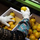 제주남원농협사업소 이미지