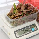 호구농장 이미지