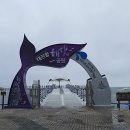 대진항 해상공원 이미지