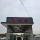 자인모터스 이미지