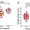 단백질 많이 먹으면 알츠하이머병 예방에 도움 이미지