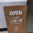 부일로 | 일상_ 심곡동 다름다룸 재방문 후기 🧠｜찐친 언니와 다시 해본 성향 분석, 불곰과 너구리