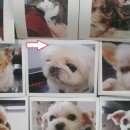 마루한동물병원 이미지