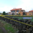 제주아일랜드공인중개사사무소 이미지