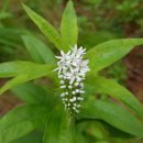 화장장 화장실 이미지