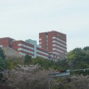 GS25거제쉐르빌점 | 거제 여행 거제삼성호텔 신관 디럭스 더블 마운틴뷰 주말 숙박 후기