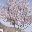 팔수식당 | 가창 전원지구 오리불고기 먹으러 팔수식당
