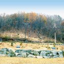 가정1-03-054 이미지