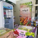유니포도농원 | 한송이포도농원, 포도 애호가들의 필수 방문지! 🍇🎉