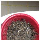 신창6차호반베르디움아파트 이미지