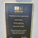 유네스코 세계유산 김해 대성동고분군
