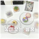 꽃피우는늘품