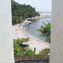 이클리프 베가 네이버블로그