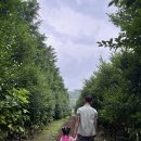 길갈농장 | 아이랑 다녀온 제주 길갈팜랜드, 직접 가본 후기 (ღˇᴗˇ)