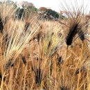 선학역 1번출구 이미지