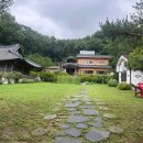 디새농원 | 디새농원 방문 후기