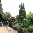 정율성 선생 거리 이미지