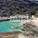 카페할로나 - 성남시 분당구 판교로289번길 20 | 하와이 신혼여행 - 드라이브, 전망대, 물놀이