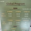 합기도제주중앙 | [제주늘보의육지생활] 인천구월동_글로벌테니스_2인_ 그룹레슨