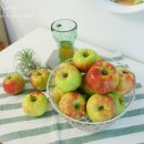 와룡농원 이미지