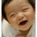 (주)러브레터