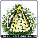 막곡리 복주병원 이미지