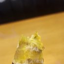 달마고도민박 이미지