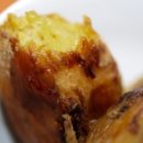 신해남농장 이미지