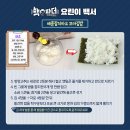마요꼬마김밥 - 서구 신석로 79 | 마요꼬마김밥