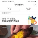 톡딜 (종료) 영암 못난이 꿀고구마 5kg 톡딜 참여시 9,900원 이미지