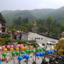 와우정사 이미지