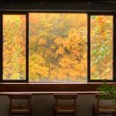 효원로307번길 | 수원 인계동 나혜석거리 카페 추천! 뷰 맛집 분위기 좋은 &#39;카페도안&#39; (단풍뷰후기)