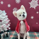 뚜니살롱 이미지