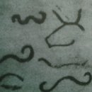 고대 현자들의 글자 만들기 (1) 이미지