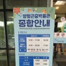경기도 양평군 사랑나무어린이집 | 아이랑 양평여행 가볼만한곳 양평곤충박물관