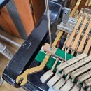 탄현중학교 이미지