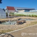 풍기북부초등학교 이미지