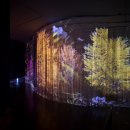 소마미술관 이미지