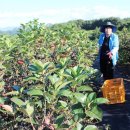 소야농장 이미지